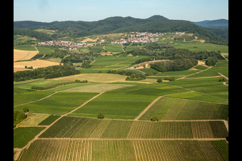 Ortsteil Gleiszellen in Gleiszellen-Gleishorbach im Bundesland Rheinland-Pfalz, Deutschland vom Flugzeug aus
