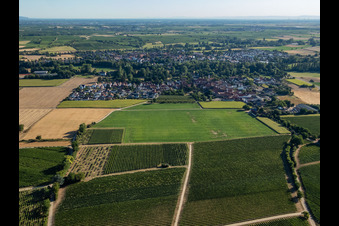 Ortsteil Mühlhofen in Billigheim-Ingenheim im Bundesland Rheinland-Pfalz, Deutschland vom Flugzeug aus