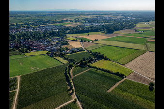 Ortsteil Mühlhofen in Billigheim-Ingenheim im Bundesland Rheinland-Pfalz, Deutschland aus der Vogelperspektive
