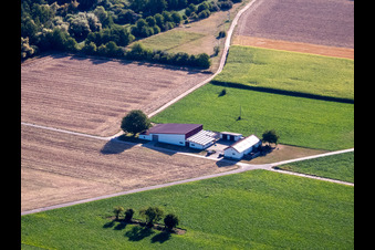 Christian Wahl Aussiedlerhof in Billigheim-Ingenheim im Bundesland Rheinland-Pfalz, Deutschland