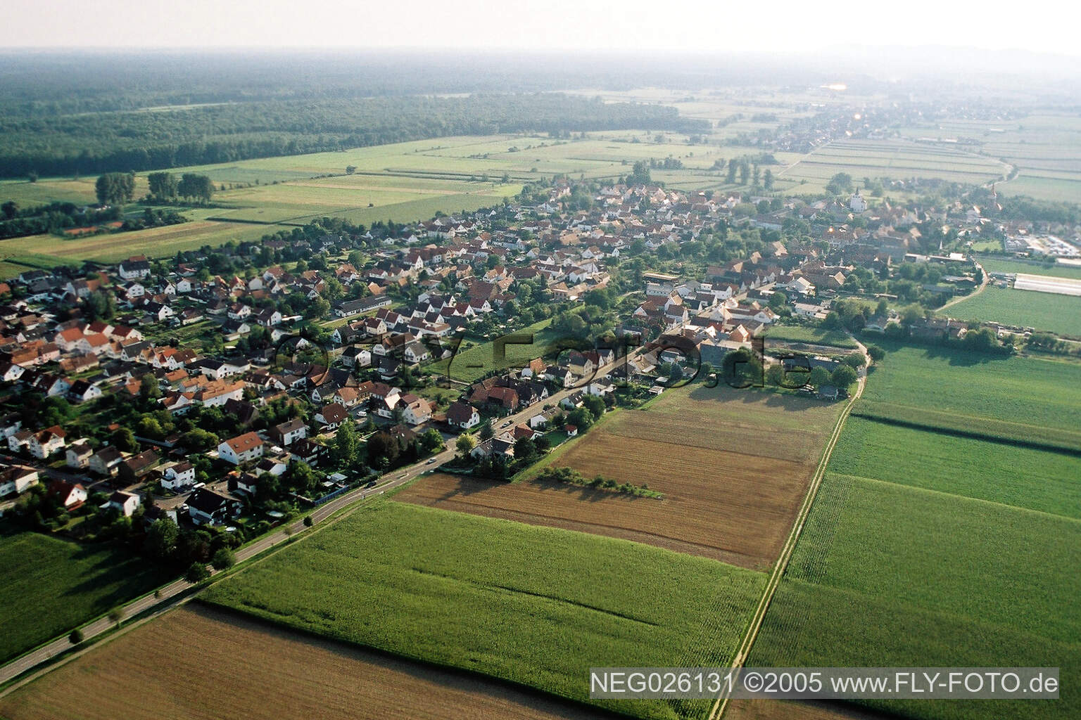 Luftbild von Minfeld von Nordosten im Bundesland Rheinland-Pfalz, Deutschland