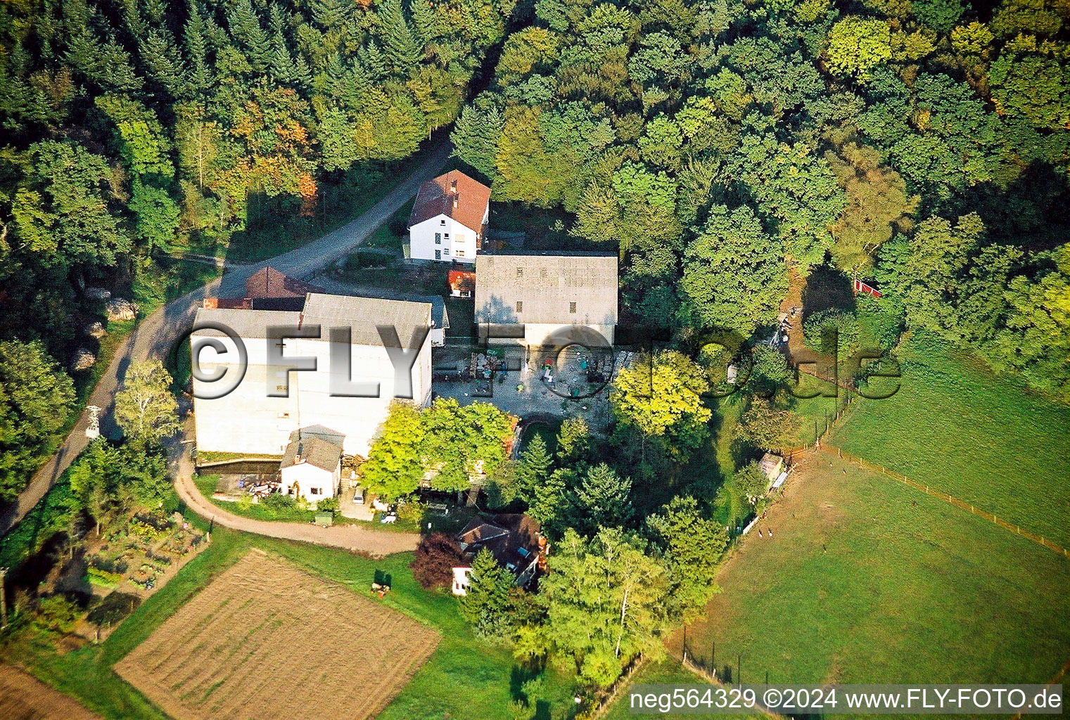 Luftbild von Historische Wassermühle am Gehöft eines Bauernhofes zwischen Wald und Wiesen in Kandel im Bundesland Rheinland-Pfalz, Deutschland