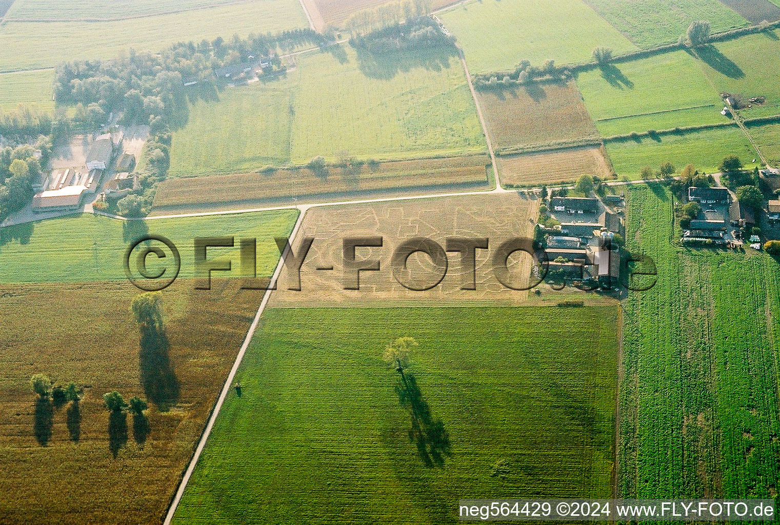 Abgeerntetes Mais-Labyrinth auf einem Feld in Hockenheim im Bundesland Baden-Württemberg, Deutschland