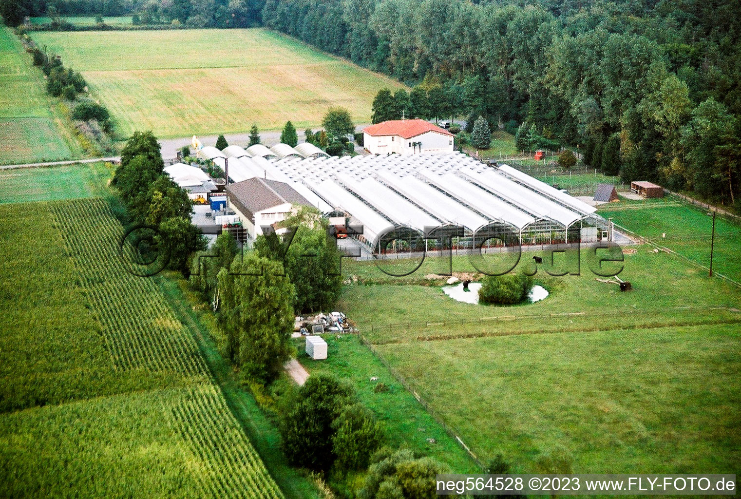 Luftbild von Freckenfeld Baumschule im Bundesland Rheinland-Pfalz, Deutschland