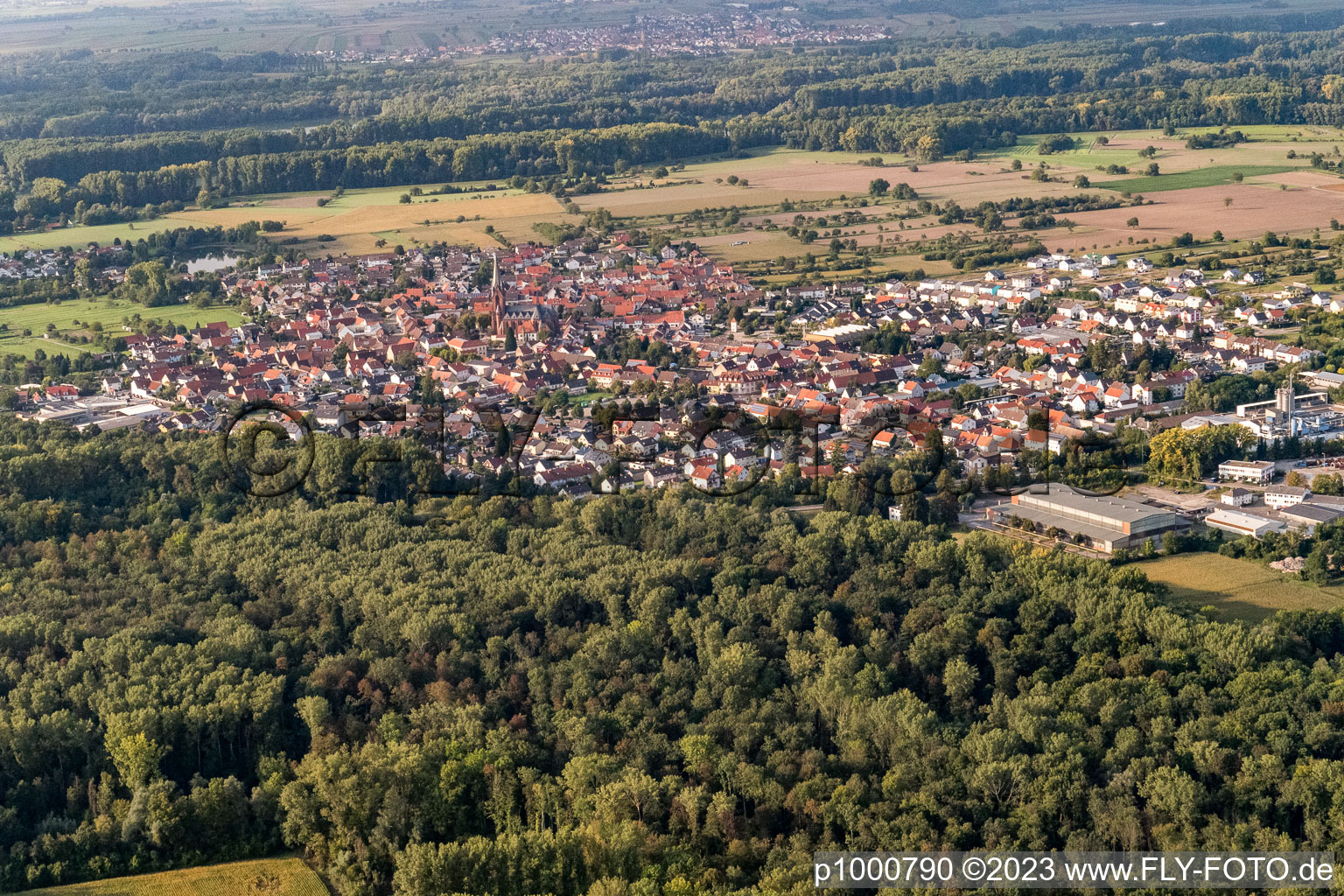 Ortsteil Rheinsheim in Philippsburg im Bundesland Baden-Württemberg, Deutschland von der Drohne aus gesehen