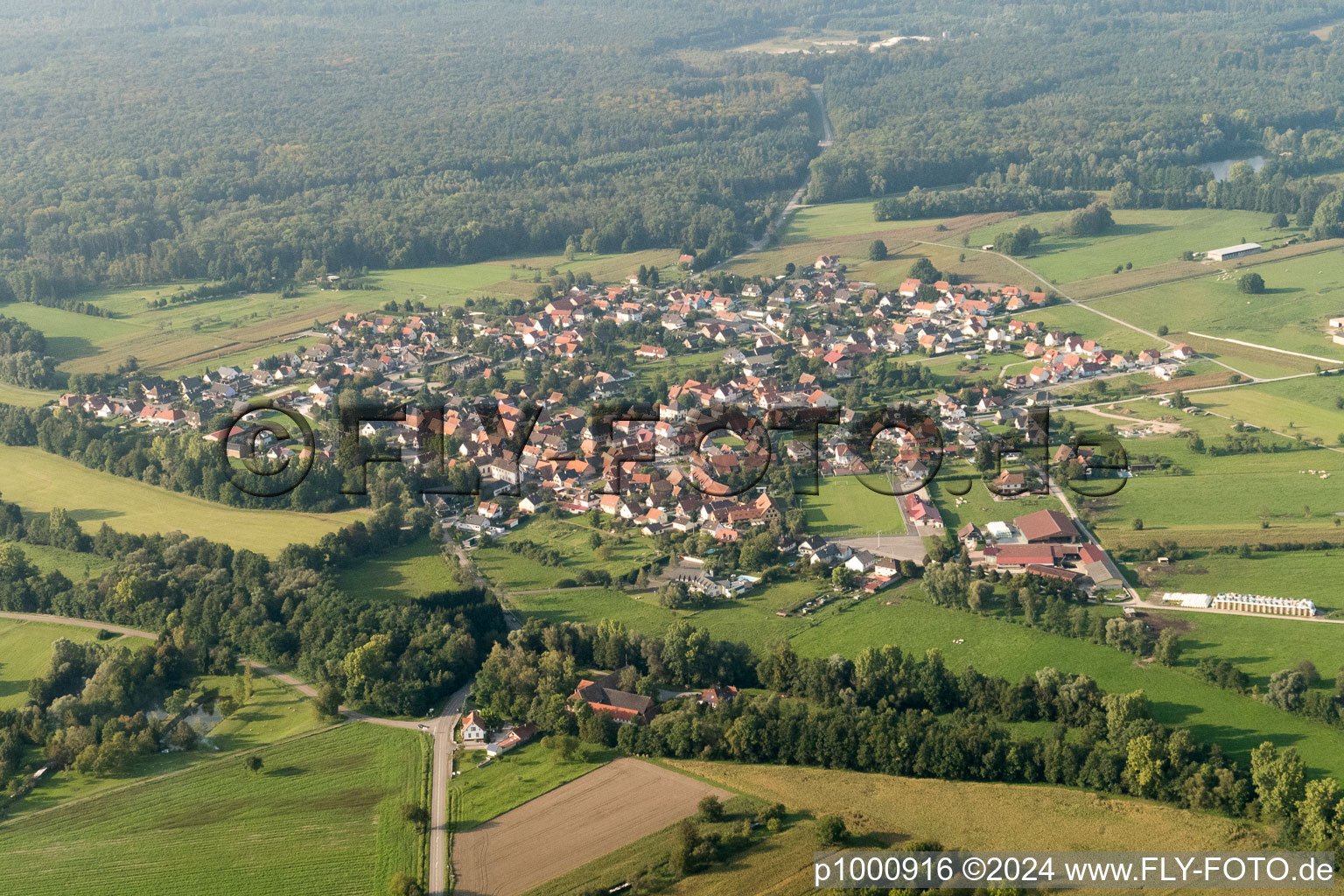 Luftbild von Dorf - Ansicht am Rande von landwirtschaftlichen Feldern und Nutzflächen in Forstfeld in Grand Est im Bundesland Bas-Rhin, Frankreich