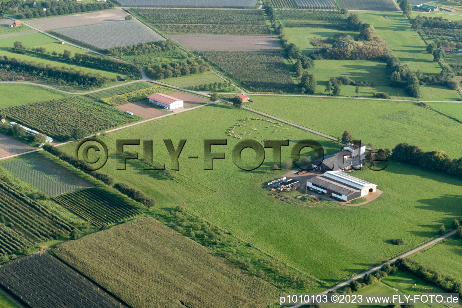 Luftaufnahme von Ortsteil Erlach in Renchen im Bundesland Baden-Württemberg, Deutschland