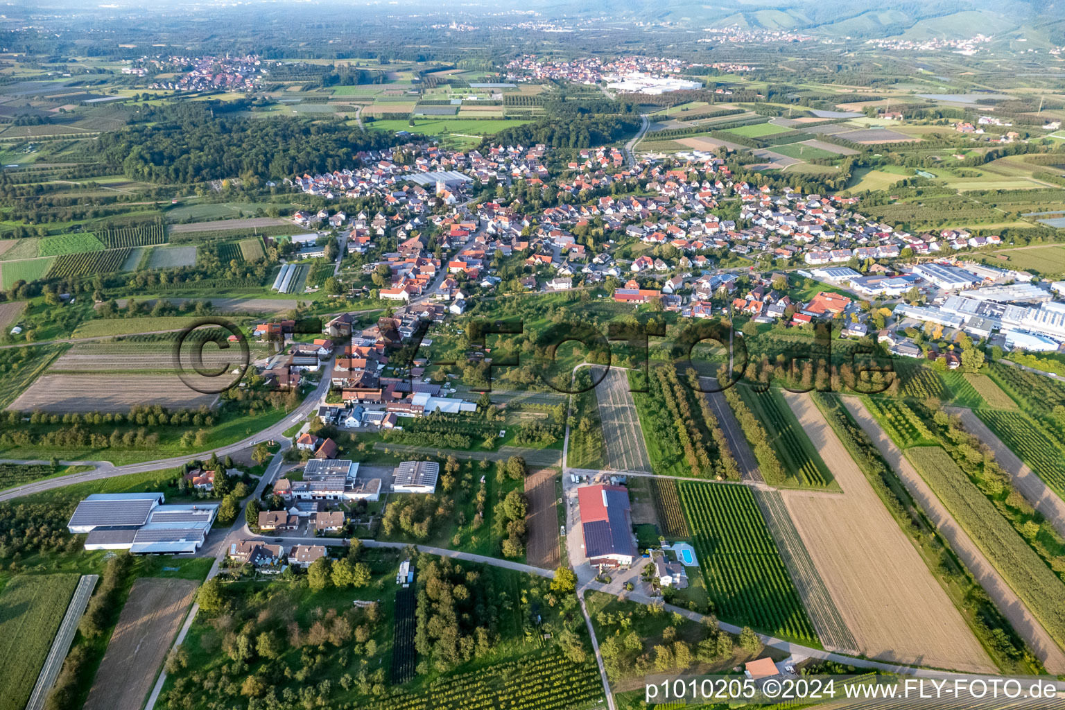 Luftbild von Dorf - Ansicht am Rande von landwirtschaftlichen Feldern und Nutzflächen in Zusenhofen in Oberkirch im Bundesland Baden-Württemberg, Deutschland