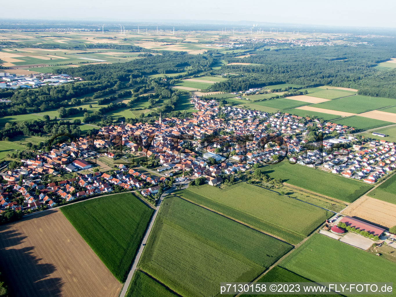 Steinweiler im Bundesland Rheinland-Pfalz, Deutschland von oben gesehen