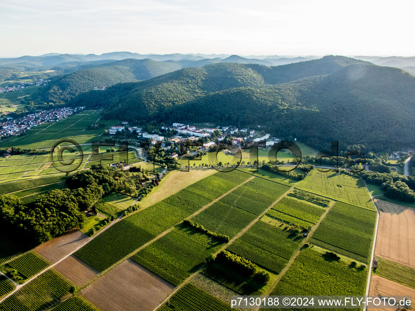 Luftbild von Klingenmünster im Bundesland Rheinland-Pfalz, Deutschland