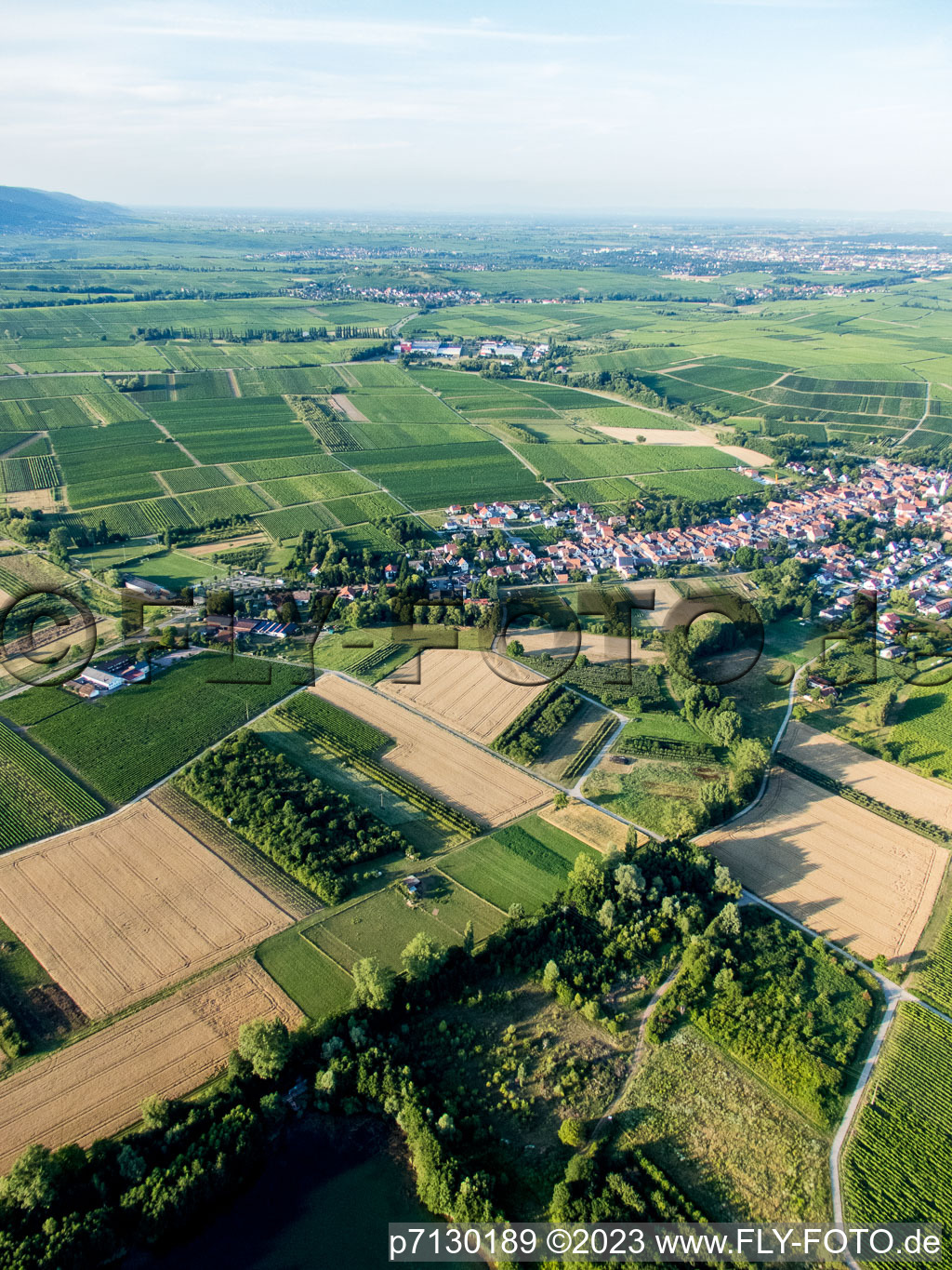 Göcklingen im Bundesland Rheinland-Pfalz, Deutschland von oben