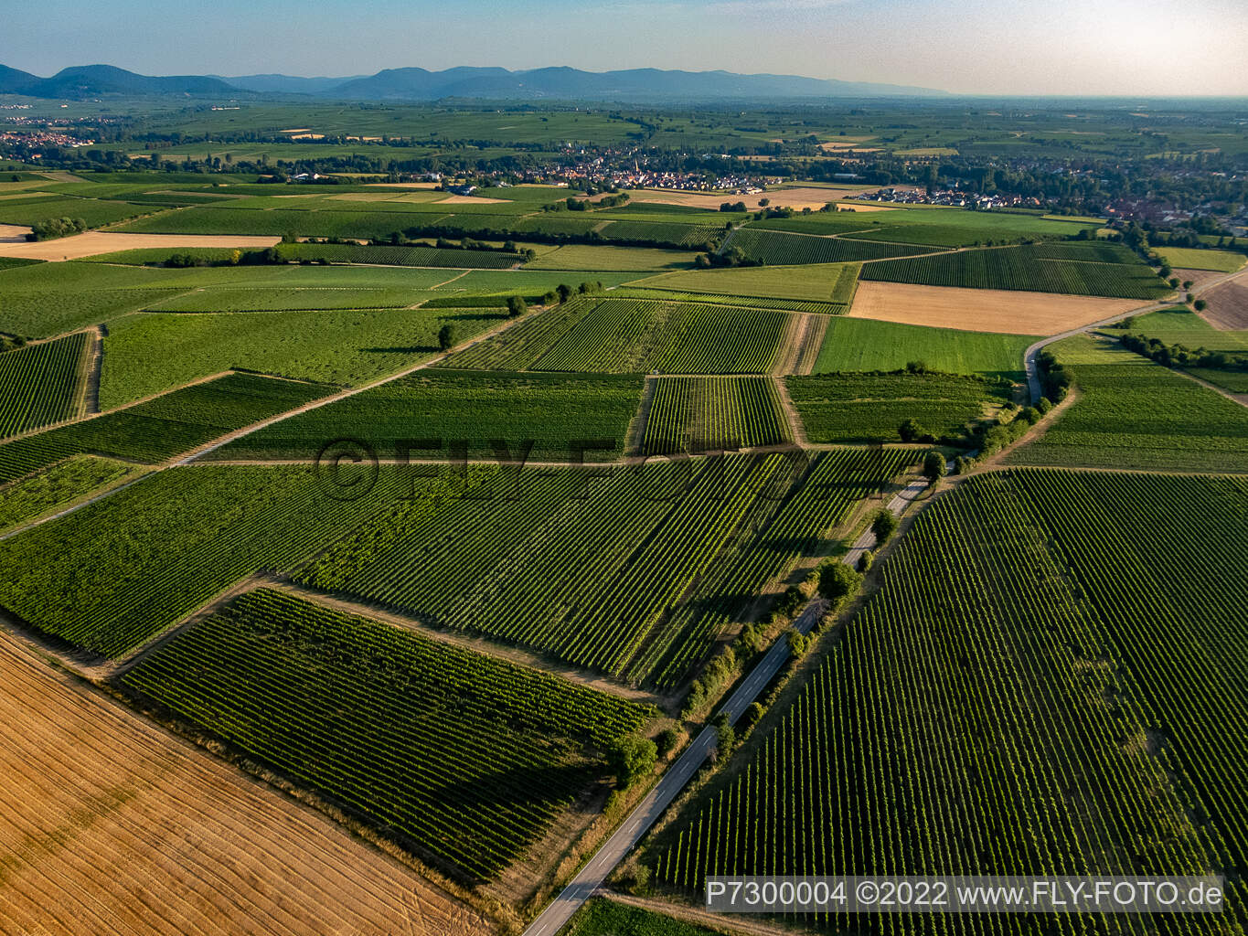 Luftbild von Felder und Weinberge um Billigheim im Ortsteil Ingenheim in Billigheim-Ingenheim im Bundesland Rheinland-Pfalz, Deutschland