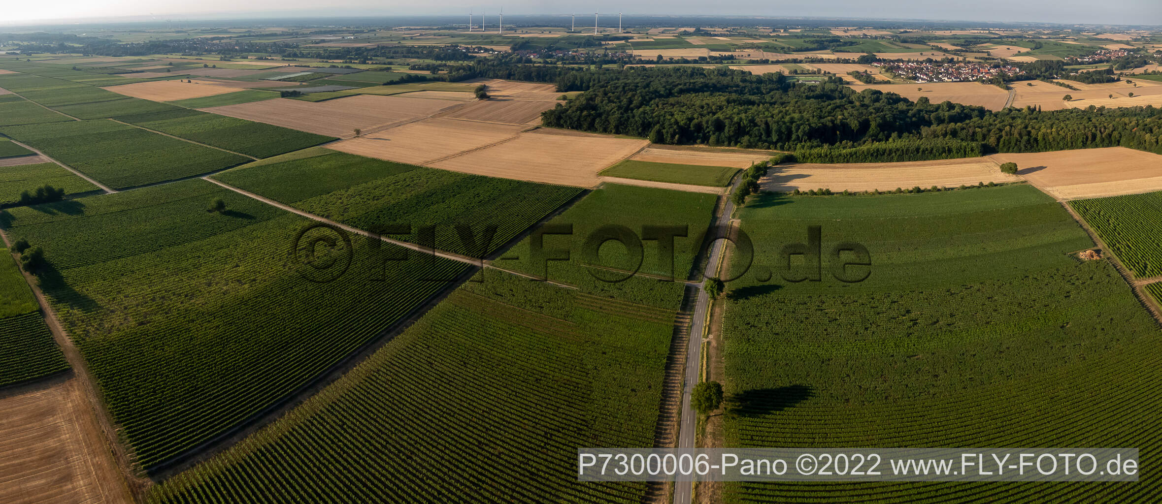Felder und Weinberge zwischen Barbelroth und Winden im Bundesland Rheinland-Pfalz, Deutschland
