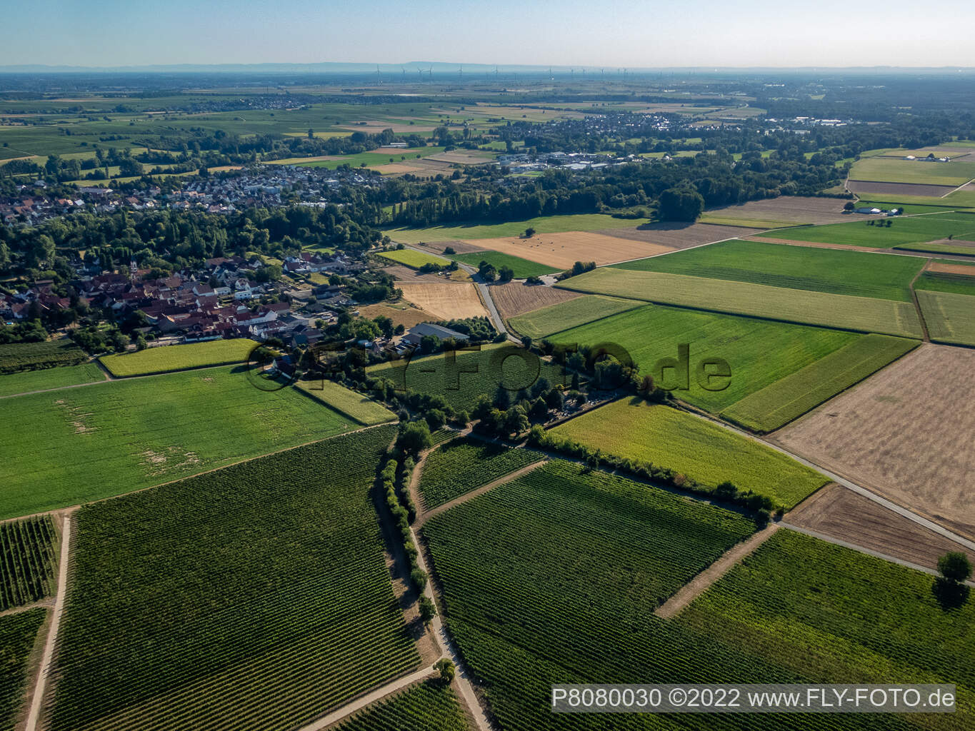 Ortsteil Mühlhofen in Billigheim-Ingenheim im Bundesland Rheinland-Pfalz, Deutschland aus der Vogelperspektive