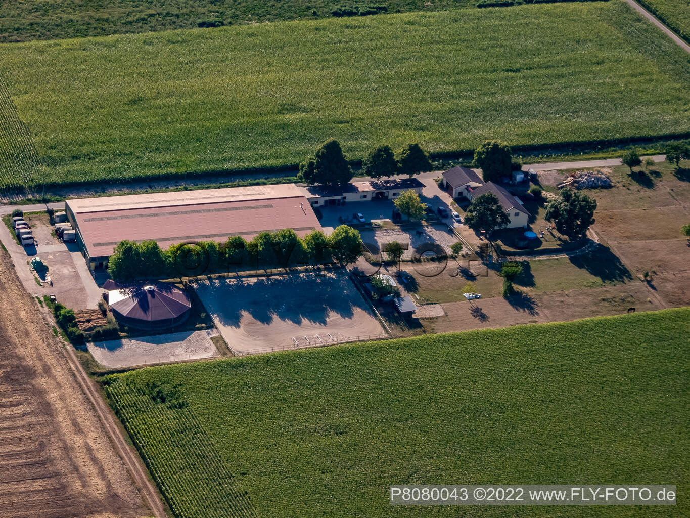 Luftaufnahme von Reitsportanlage Fohlenhof in Steinweiler im Bundesland Rheinland-Pfalz, Deutschland