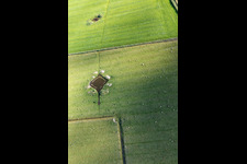 Ortsteil Böhl-Süderhöft in Sankt Peter-Ording im Bundesland Schleswig-Holstein, Deutschland