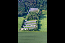 CAE Geflügel GmbH - Roman Striegnitz im Ortsteil Wechmar in Drei Gleichen im Bundesland Thüringen, Deutschland