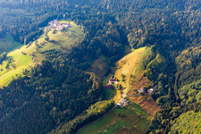 Gehöft und Schwarzwald-Bauernhof Felmeck in Oppenau im Ortsteil Löcherberg im Bundesland Baden-Württemberg, Deutschland