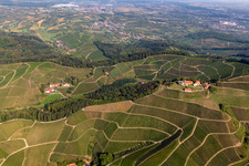 Weinberge am Winzerhof und Burganlage des Schloss Staufenberg in Durbach im Ortsteil Heimbach im Bundesland Baden-Württemberg, Deutschland