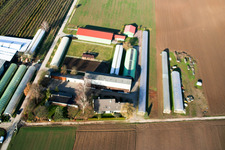 Nauerth Tabak in Kandel im Bundesland Rheinland-Pfalz, Deutschland