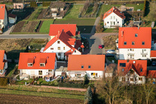 Hasenfang in Freckenfeld im Bundesland Rheinland-Pfalz, Deutschland