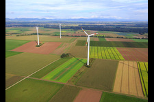 Windpark in Minfeld im Bundesland Rheinland-Pfalz, Deutschland