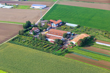 Dorfmarkt Schoßberghof von Michael Groß Landwirtschaft in Minfeld im Bundesland Rheinland-Pfalz, Deutschland