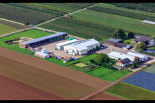 Luftbild von Bauers Garten von Nordosten in Winden im Bundesland Rheinland-Pfalz, Deutschland