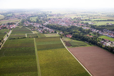 Ortsteil Ingenheim in Billigheim-Ingenheim im Bundesland Rheinland-Pfalz, Deutschland aus der Luft