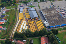 Engel & Engel GmbH | Handel mit Nutzfahrzeugen, Stapler und Baumaschienen und Real im Südpfalz Center in Rohrbach im Bundesland Rheinland-Pfalz, Deutschland