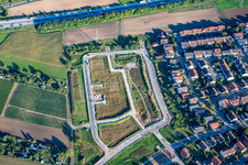Neubaugebiet Gustav-Hertz-Straße in Brühl im Bundesland Baden-Württemberg, Deutschland