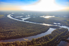 Naturschutzgebiet Ketscher Rheininsel und Altrhein sowie Bollenwörth im Otterstädter Auenwald auf der anderen Rheinseite in Otterstadt im Bundesland Rheinland-Pfalz, Deutschland