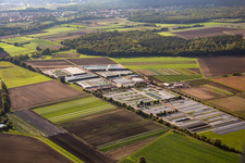 Gärtnerei Dieter Denze in Gochsheim im Bundesland Bayern, Deutschland