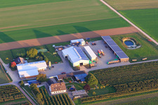 Biohof Bauers Garten aus Nordwesten in Winden im Bundesland Rheinland-Pfalz, Deutschland