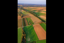 Modellflugplatz des Modellflugverein Freckenfeld e.V aus Südwesten im Bundesland Rheinland-Pfalz, Deutschland aus der Luft