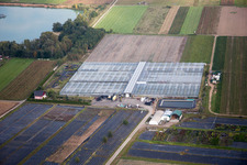 Brumath, Geudertheim im Bundesland Bas-Rhin, Frankreich