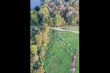 Fort-Louis im Bundesland Bas-Rhin, Frankreich aus der Luft