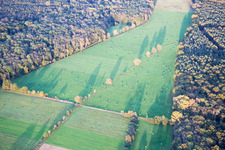 Grasflächen- Strukturen einer Wiesen- Landschaft des Otterbachtals am Bienwald in Kandel im Bundesland Rheinland-Pfalz, Deutschland
