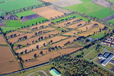 Von Buschreihen begrenzte, rechteckige Felder am Bruchgraben im Ortsteil Sandhofen in Mannheim im Bundesland Baden-Württemberg, Deutschland
