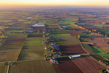 Straßendorf aus Süden im Ortsteil Allmendfeld in Gernsheim im Bundesland Hessen, Deutschland