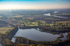 Lampertheimer Althrein am Welschen Loch im Bundesland Hessen, Deutschland