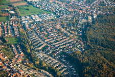 Waldring im Ortsteil Busenbach in Waldbronn im Bundesland Baden-Württemberg, Deutschland