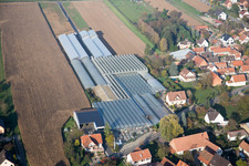 Drohnenbild von Niederrœdern im Bundesland Bas-Rhin, Frankreich
