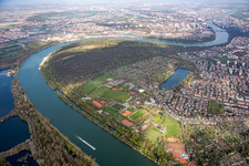 Waldpark und Reissinsel im Ortsteil Niederfeld in Mannheim im Bundesland Baden-Württemberg, Deutschland