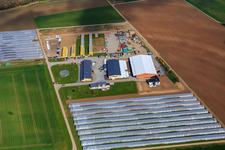 Spargel & Obsthof Wendel in Zwingenberg im Bundesland Hessen, Deutschland