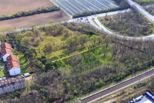 Jüdischer Friehof im Ortsteil Sandwiese in Alsbach-Hähnlein im Bundesland Hessen, Deutschland