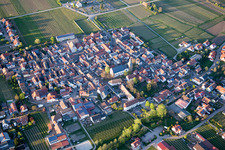 Dorf - Ansicht am Rande von landwirtschaftlichen Feldern und Nutzflächen in Kirrweiler (Pfalz) im Bundesland Rheinland-Pfalz, Deutschland