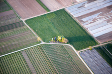 Meckenheim UL im Bundesland Rheinland-Pfalz, Deutschland