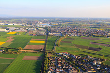Stadtansicht aus Norden in Biebesheim am Rhein im Bundesland Hessen, Deutschland