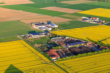 Kompostierungsanlage Brunnenhof GmbH in Biebesheim am Rhein im Bundesland Hessen, Deutschland